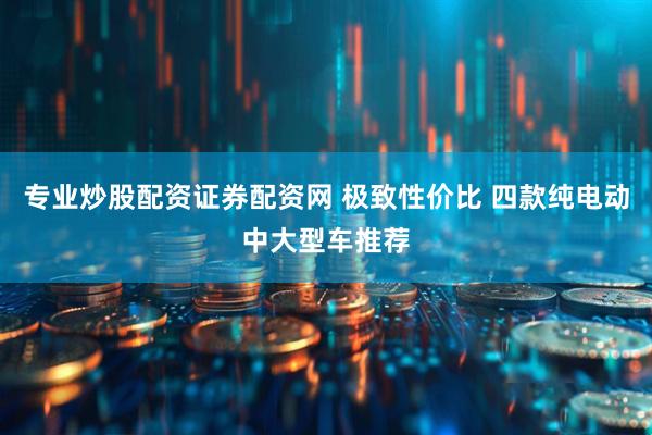 专业炒股配资证券配资网 极致性价比 四款纯电动中大型车推荐