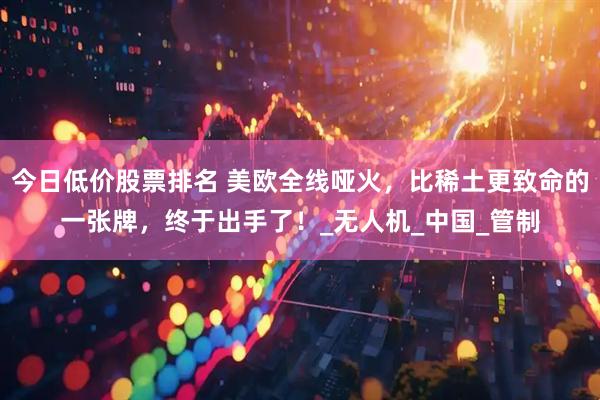 今日低价股票排名 美欧全线哑火，比稀土更致命的一张牌，终于出手了！_无人机_中国_管制