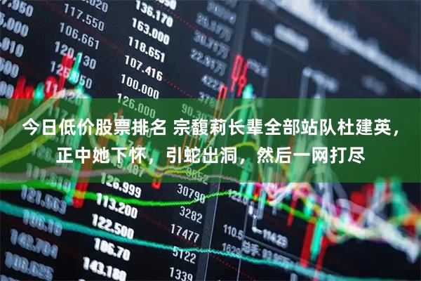 今日低价股票排名 宗馥莉长辈全部站队杜建英，正中她下怀，引蛇出洞，然后一网打尽
